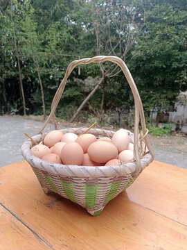 一籃雞蛋