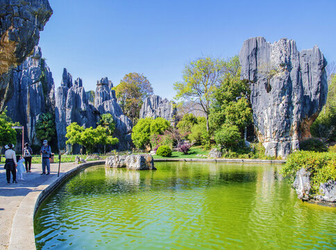 石林風(fēng)景區(qū)石鋒林樹林與湖池