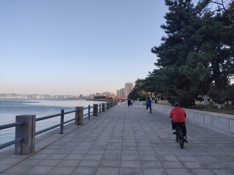 海岸