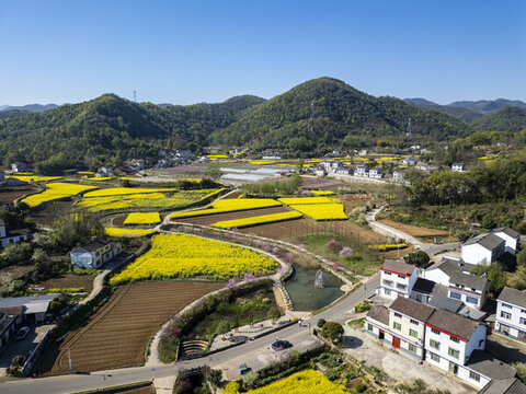 春天風(fēng)光