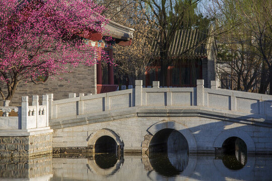 北京園博園古建春季風(fēng)光
