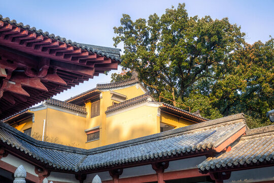 江蘇省南京靈谷寺的春天風(fēng)光