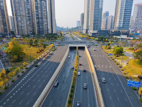 廣西南寧城市道路鮮花春天穿暖花開綻放