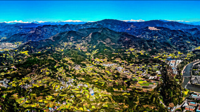 春滿滎經(jīng)油菜花開滿山野