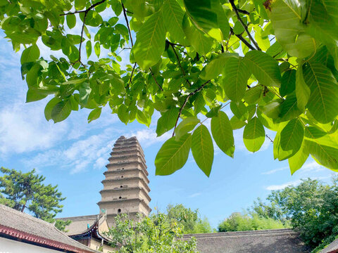 小雁塔