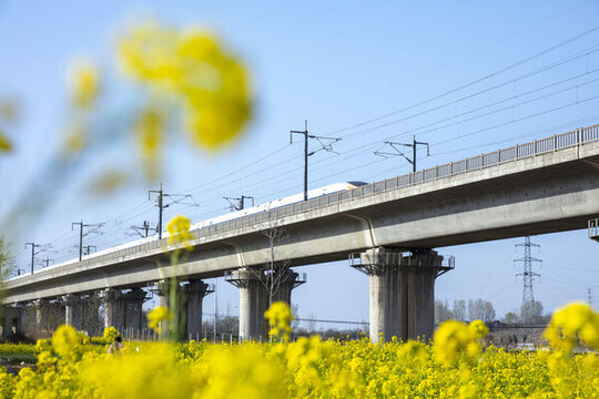 駛過花海的高鐵動車組