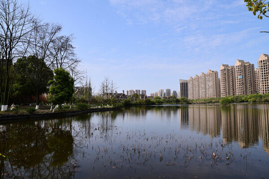 公園一景