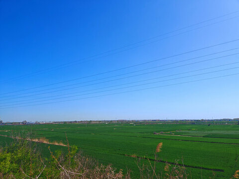 田園田野的風(fēng)光無限好
