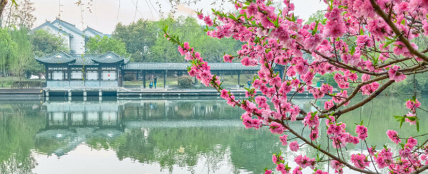 春天的揚(yáng)州瘦西湖
