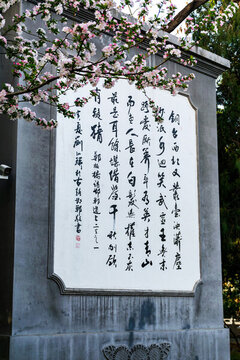 叢臺(tái)公園