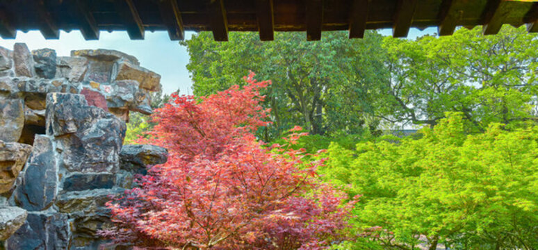 揚(yáng)州個(gè)園紅葉