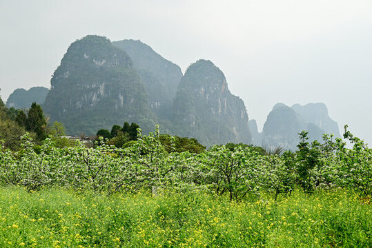 陽朔遇龍河十里畫廊春日風(fēng)光
