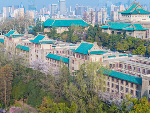 武漢大學(xué)春季櫻花盛開