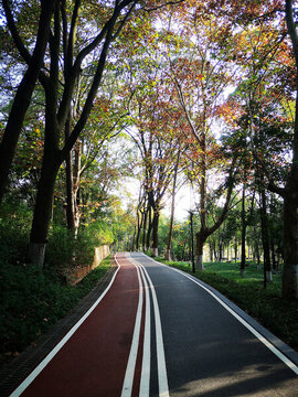 健身跑道