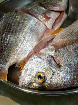 美味粵式清蒸魚(yú)
