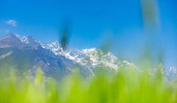 雪山下的麥田
