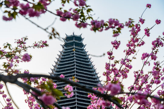 櫻花和古塔