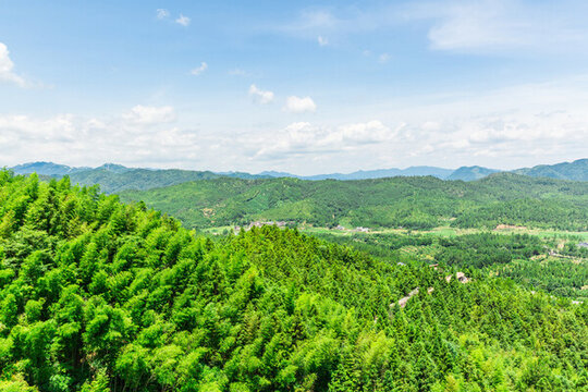 綠樹(shù)青山