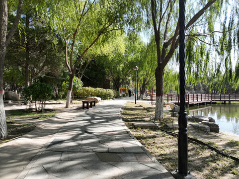 公園里的寧?kù)o步道湖畔垂柳