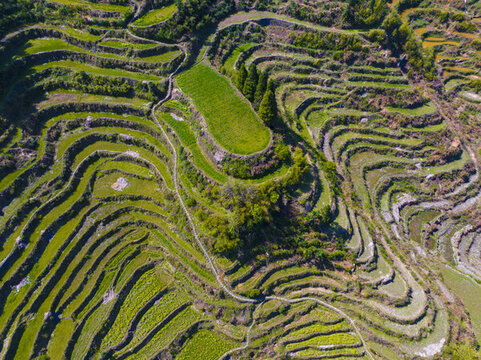 麗水風(fēng)景