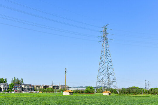 農(nóng)田麥田