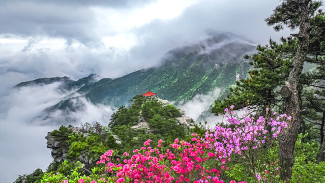 廬山觀云亭映山紅