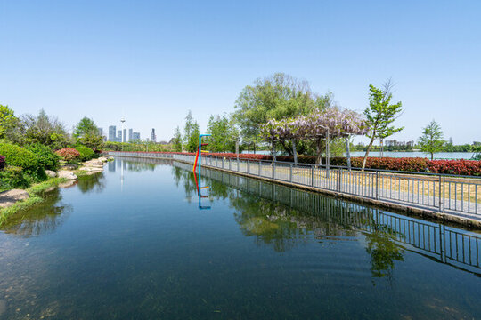 武漢東湖湖畔公園的優(yōu)美景致