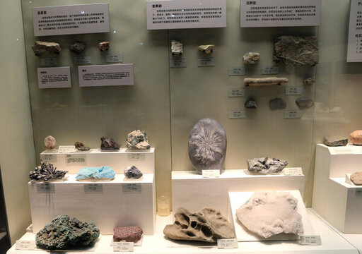 多樣礦石標本展示