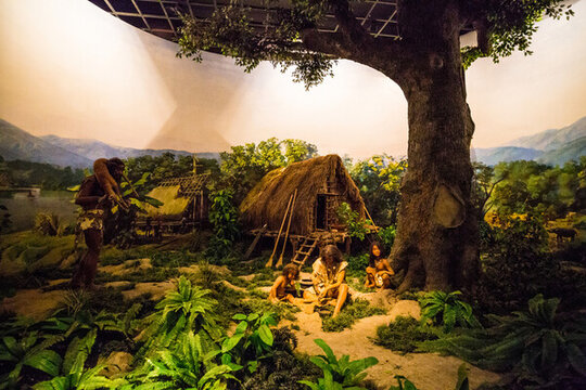 全國農業(yè)展覽館河姆渡遺址