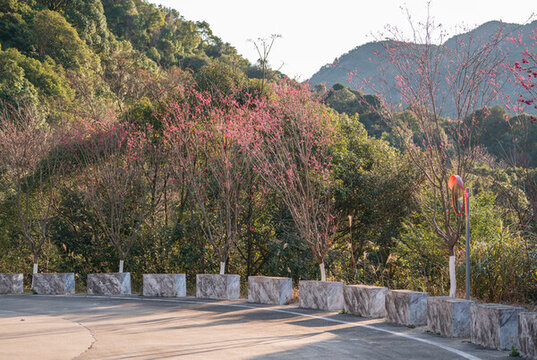 從化五指山景區(qū)
