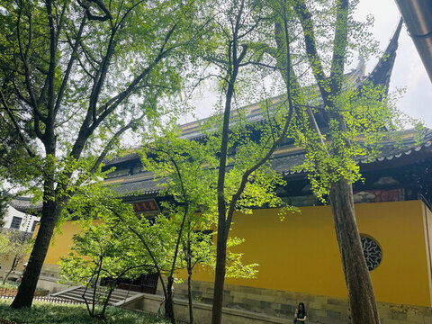 古寺黃墻綠樹景致西園寺