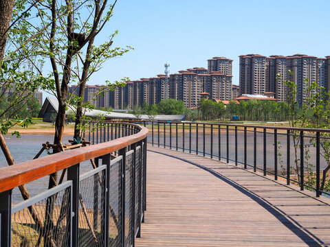 河畔木棧道與遠(yuǎn)處高樓景觀