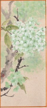 國(guó)畫(huà)手繪高清掃描圖綠色繡球