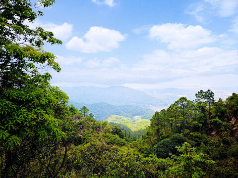 青山綠樹間的秀麗風光