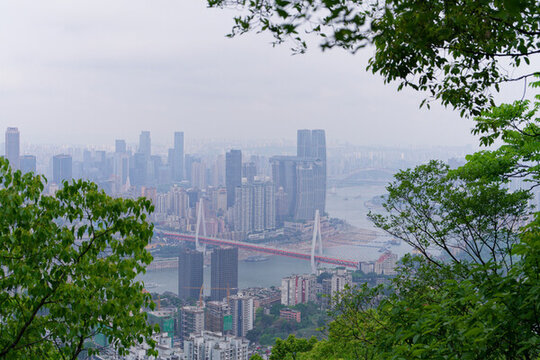 綠樹掩映下的城市江景
