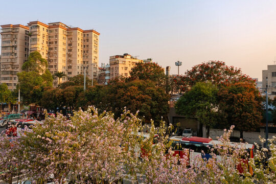 城市繁花與建筑景觀