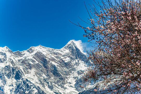 西藏林芝市米林索松村南迦巴瓦雪峰