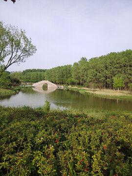 橋
