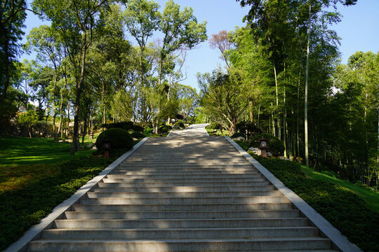 九江東林寺林間石階漫步自然之境