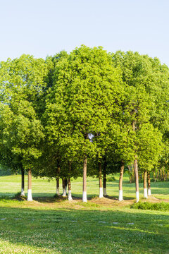 成都青龍湖公園