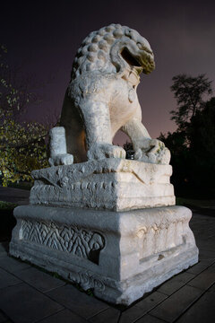 大連勞動(dòng)公園夜幕下的石獅守護(hù)