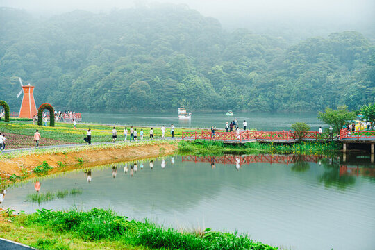 霧中湖畔休閑景