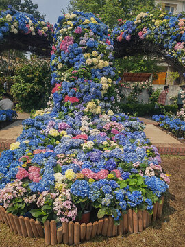繡球花