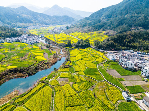 婺源江嶺風(fēng)光