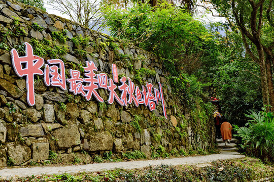 黟縣塔川秋色