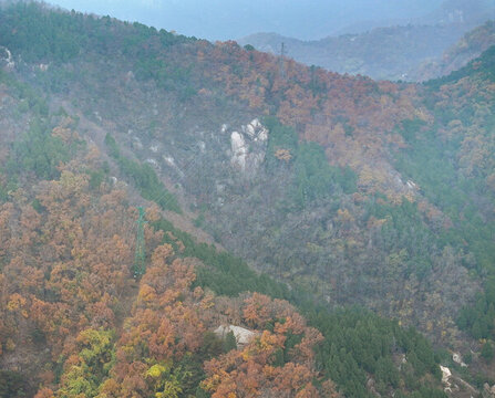 泰安泰山區(qū)