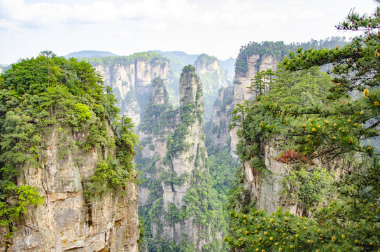 張家界奇峰異石山林景觀