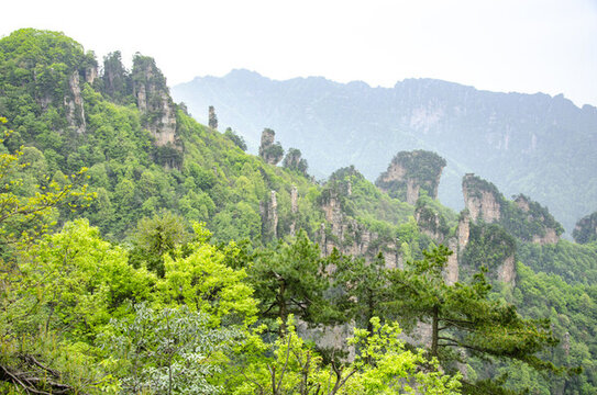 張家界國(guó)家森林公園奇峰林立的綠意山間景致