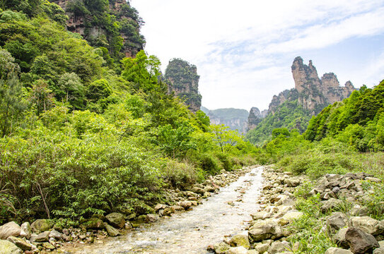 張家界國家森林公園山間溪流與蒼翠奇峰景致
