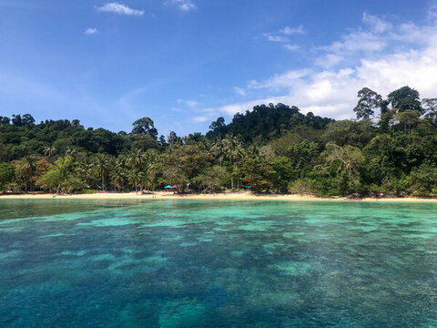 泰國甲米綠意盎然的熱帶島嶼風光